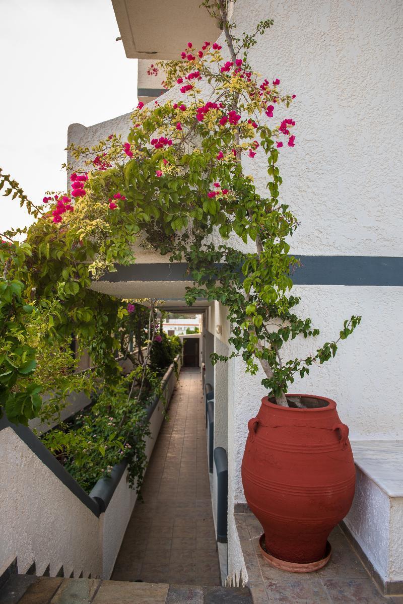 Fevro Hotel أغيا غاليني المظهر الخارجي الصورة