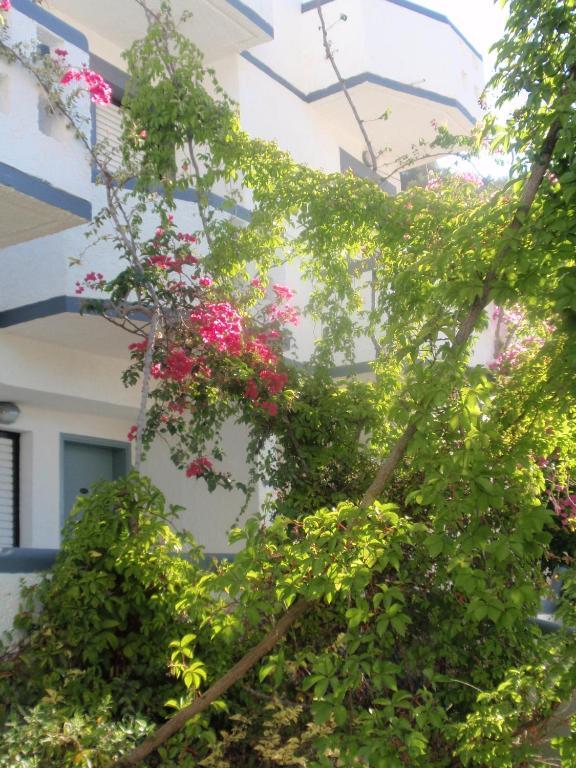 Fevro Hotel أغيا غاليني الغرفة الصورة