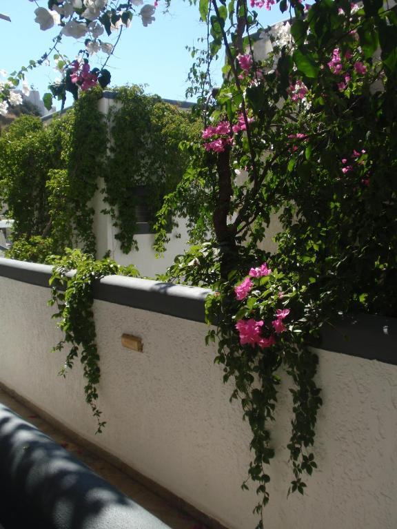 Fevro Hotel أغيا غاليني الغرفة الصورة