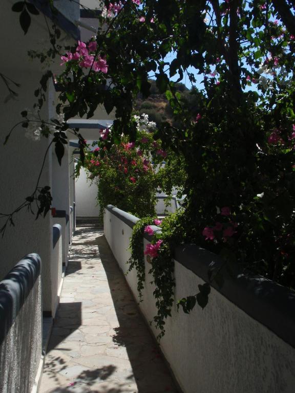 Fevro Hotel أغيا غاليني الغرفة الصورة