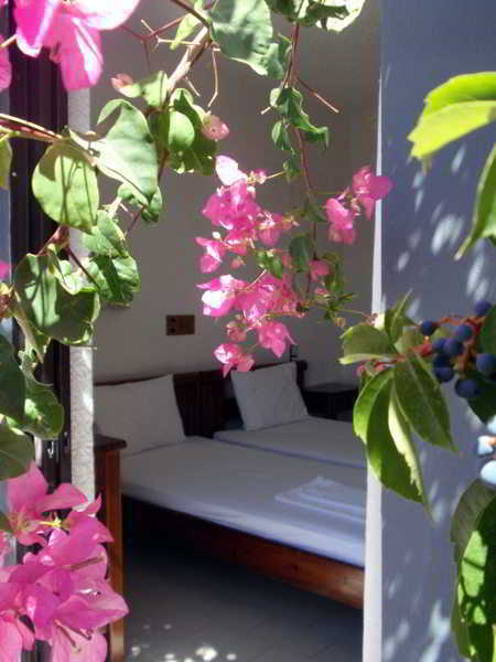 Fevro Hotel أغيا غاليني المظهر الخارجي الصورة